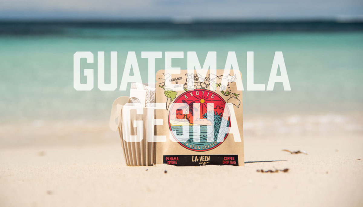Exotic - Guatemala La Reforma [Gesha]