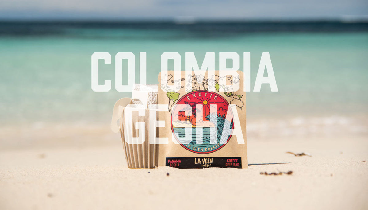 Exotic - Colombia R.Lasso [Gesha]