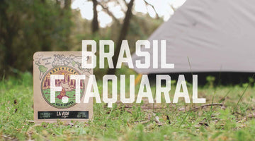 Adventure - Brasil F.Taquaral