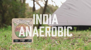 Adventure - India Anaerobic