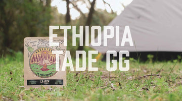 Adventure - Ethiopia Tade GG
