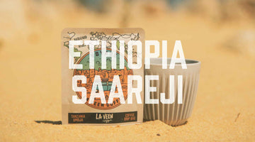 Voyage - Ethiopia Saareji