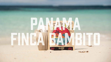 Exotic - Panama F.Bambito Geisha