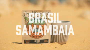 Voyage - Brasil Samambaia
