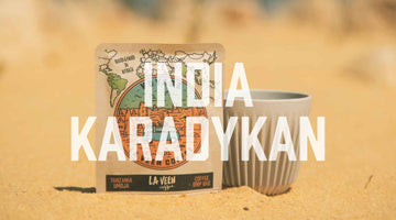 Voyage - India Karadykan