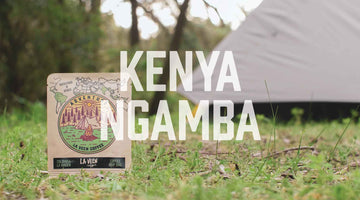 Adventure - Kenya Ngamba
