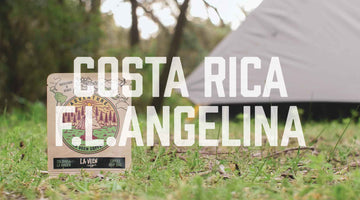 Adventure - Costa Rica F.L.Angelina