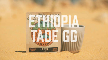 Voyage - Ethiopia Tade GG